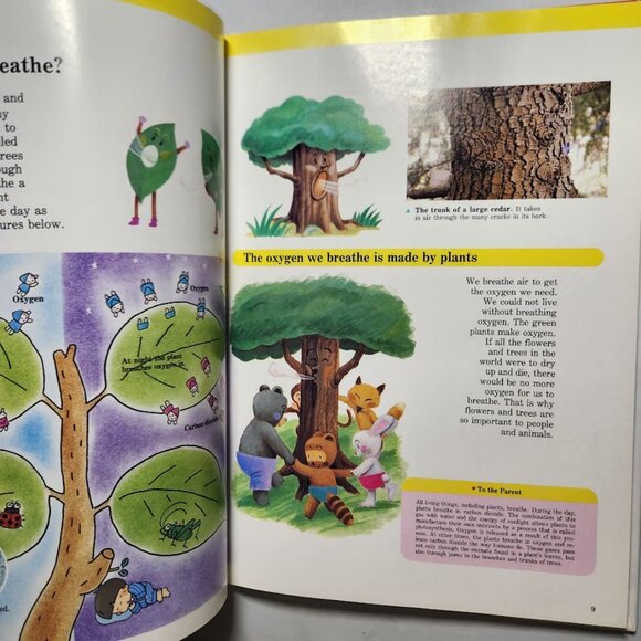 Flowers & Trees Child's First Library of Learning Hardcover Book Science Stem Ho - Picture 15 of 16